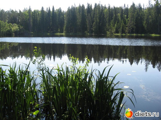 4 ����: ������