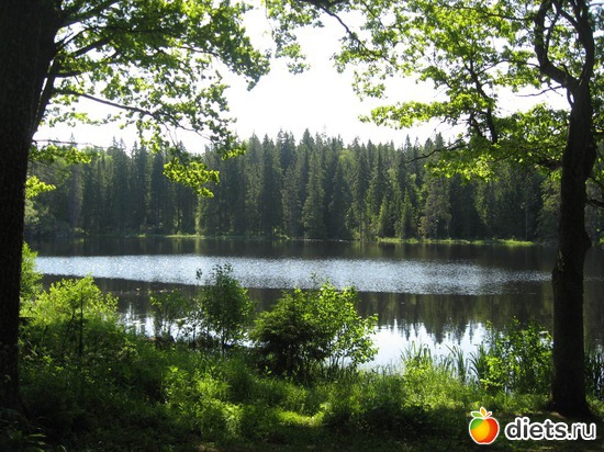 5 ����: ������