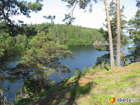 6 ����: ������