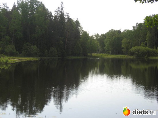 7 ����: ������