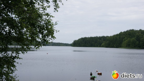 2 ����: ��������, � ����.