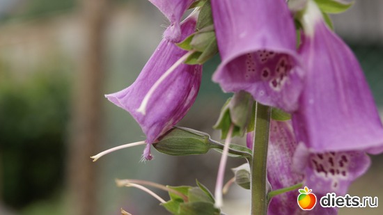 9 ����: ��������, � ����.