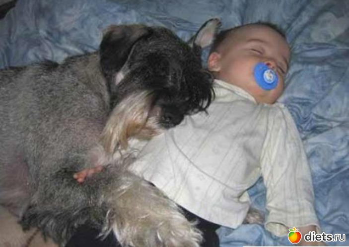 5 ����: �����))))