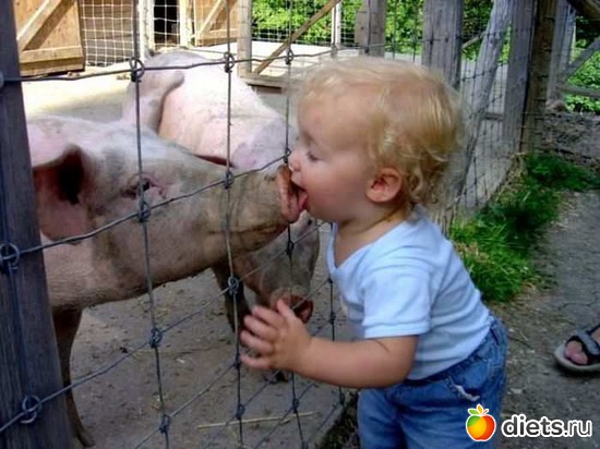 17 ����: �����))))