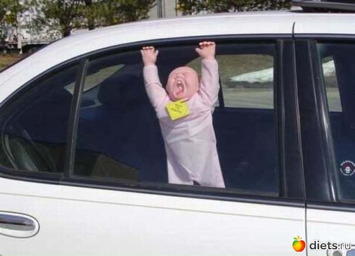 26 ����: �����))))