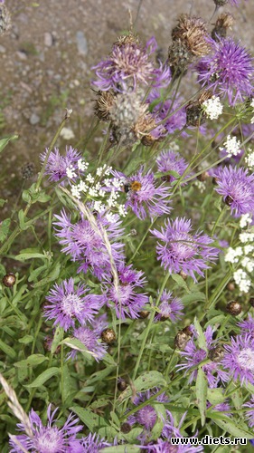 15 ����: ��������, � ����.