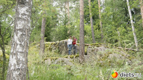 16 ����: ��������, � ����.