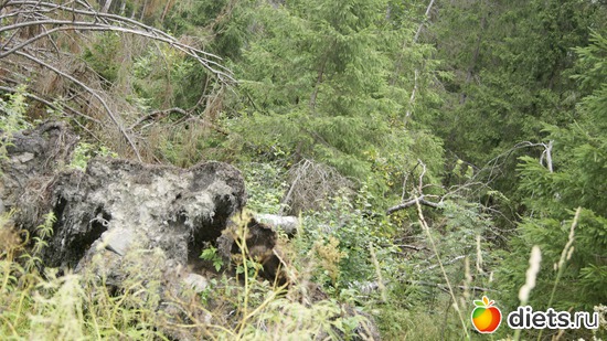 18 ����: ��������, � ����.