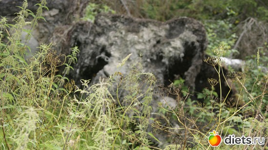 19 ����: ��������, � ����.