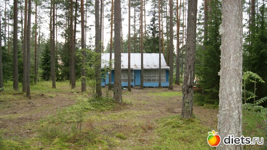 20 фото: Заветное, у Лизы.