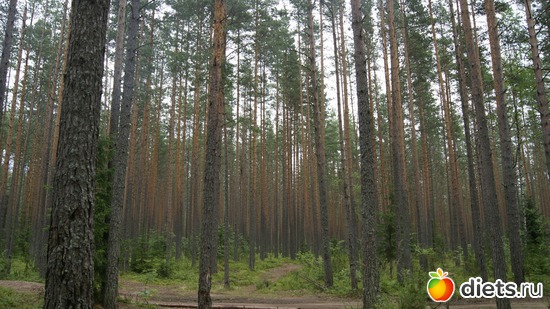 23 ����: ��������, � ����.