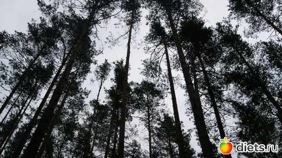 24 фото: Заветное, у Лизы.