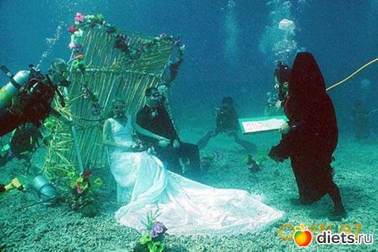 38 ����: ��,�������, �������)))))