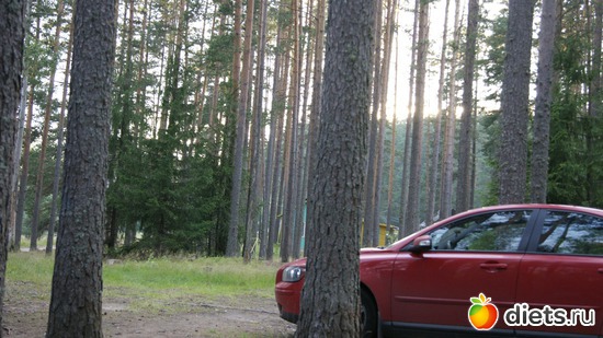 34 ����: ��������, � ����.