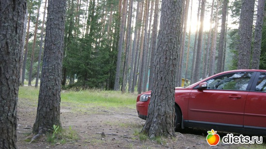 36 ����: ��������, � ����.