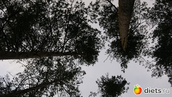 37 ����: ��������, � ����.