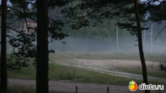 38 ����: ��������, � ����.