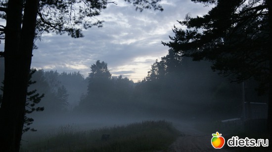 41 ����: ��������, � ����.