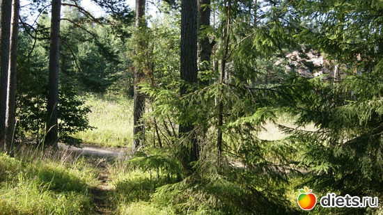 42 ����: ��������, � ����.