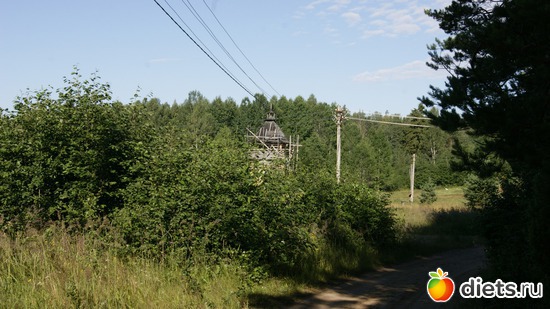 43 ����: ��������, � ����.