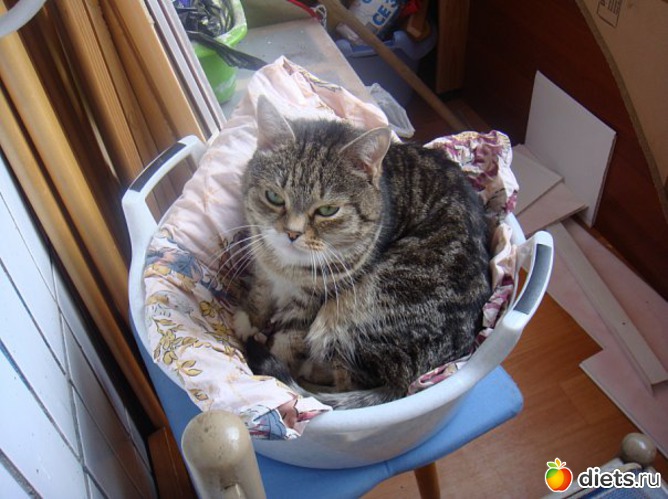 1 ����: ����