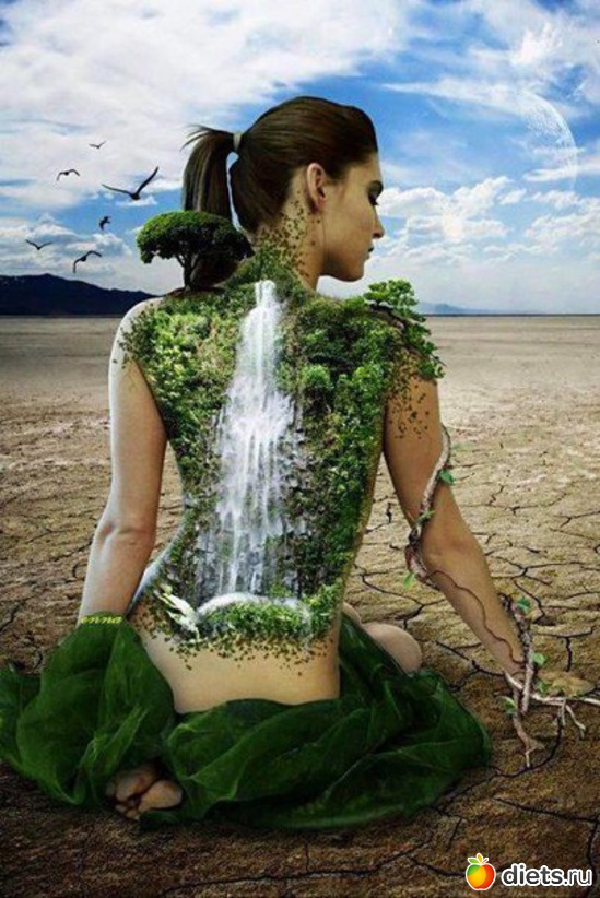 4 ����: �������