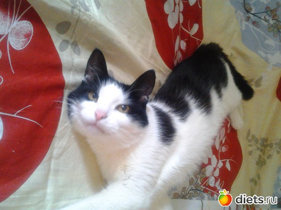 1 ����: ��� ��������