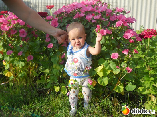 �������� ����� ������, ������: ��� ���������