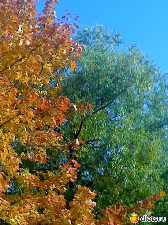 ����� ������-�� �������������� ����� �������� �� ������,� ��� �����...., ������: :)$