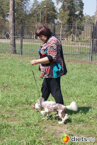 Май 2011, за 110 кг, альбом: Жизнь ДО