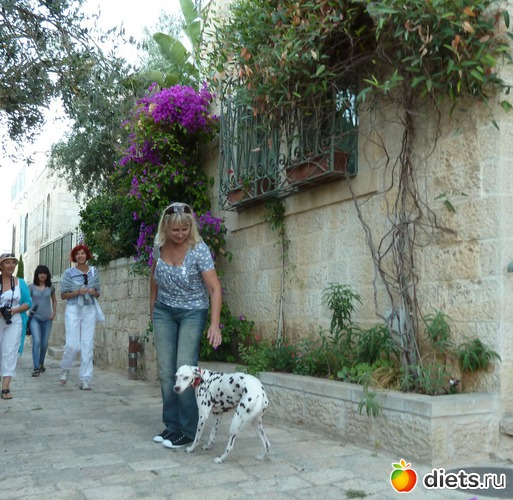 1 ����: � ������.