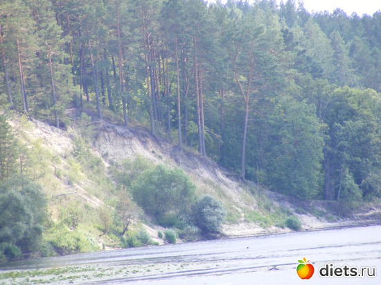 9 фото: Ну вот и я