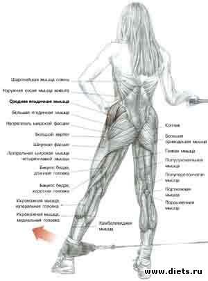 �������� ���������� �� ��������� ������ ����