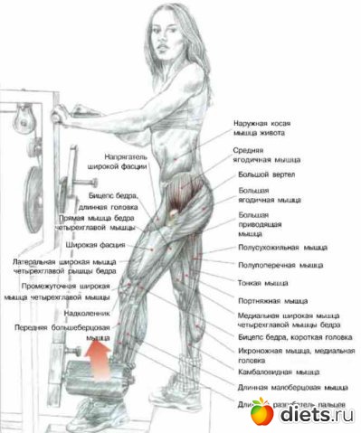 �������� ���������� �� ��������� ������ ����