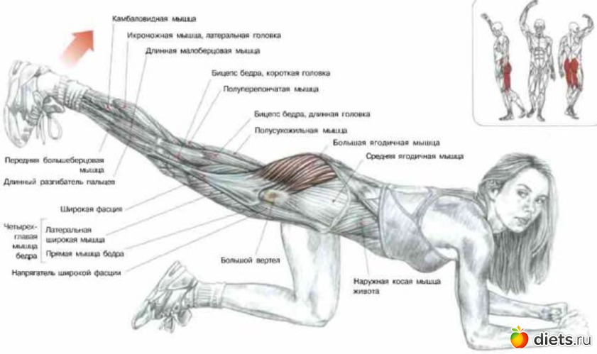 10 ����: �������� ���������� �� ��������� ������ ����