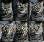 Show must go on! Продолжаем (=