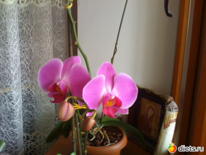 1 ����: �����