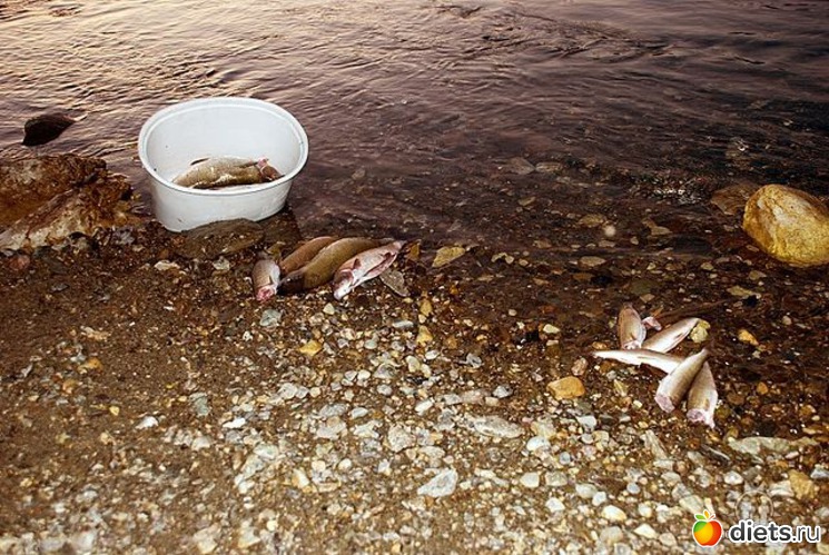 на рыбалке, альбом: Любимый город-Воркута