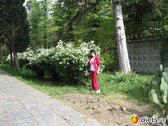 1 ����: ��� ����