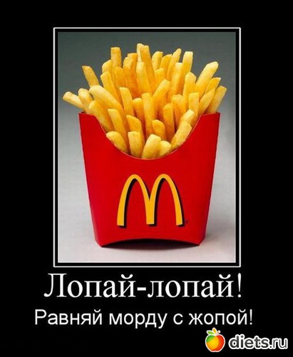 15 ����: ���������