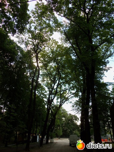 149 фото: Знакомый уютный Киев. Весна. 2012