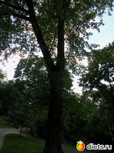 152 фото: Знакомый уютный Киев. Весна. 2012