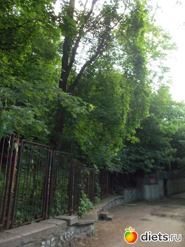 157 фото: Знакомый уютный Киев. Весна. 2012