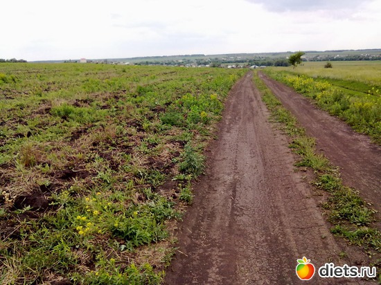 1 ����: ������-������...