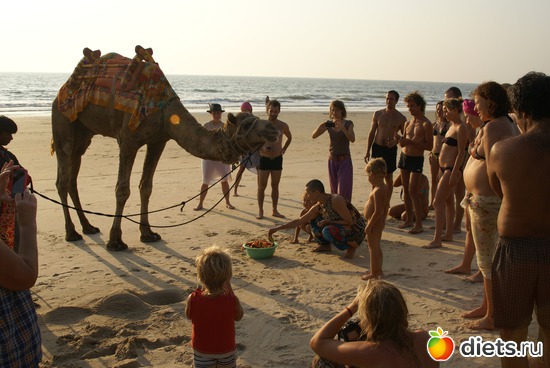 ����� 2012, ������: �����������..