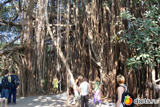 ����� 2012, ������: �����������..