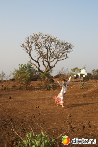 ����� 2012, ������: �����������..