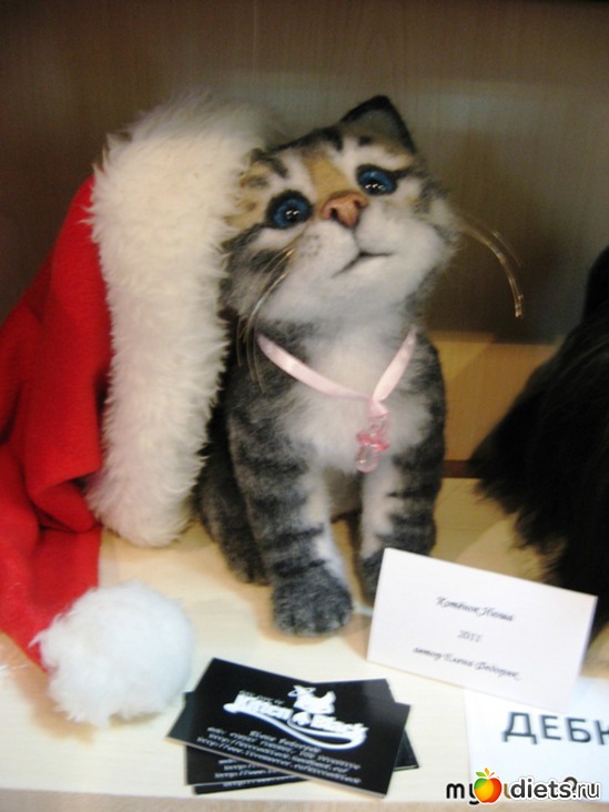 21 фото: животные