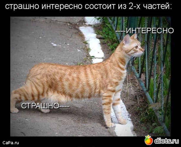 23 фото: животные