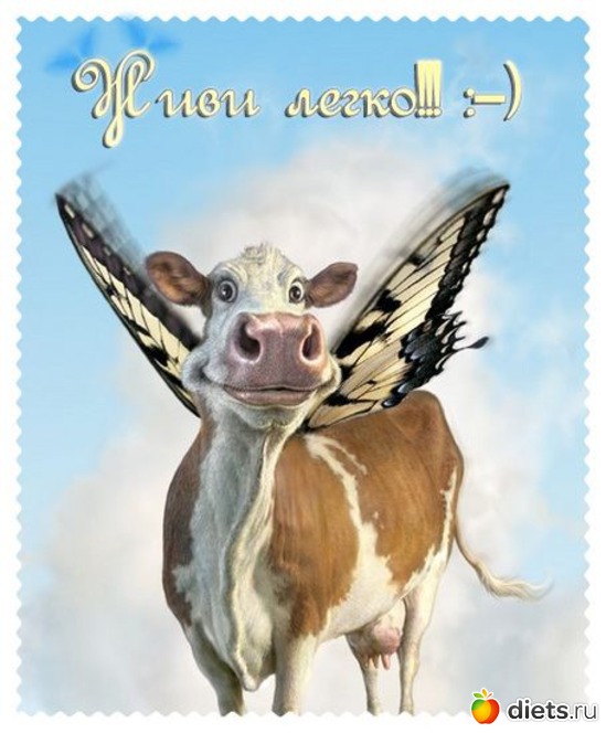 29 фото: животные